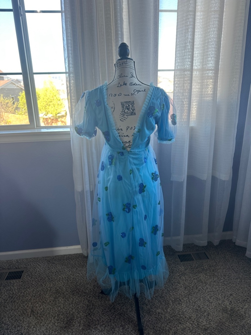 Amazon Light Blue Tulle Maxi Dress with Sequin Floral Accents - Picture 2 of 2